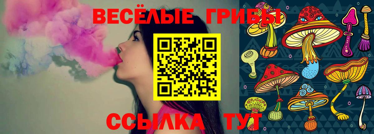 Нижнеудинск  Псилоцибиновые грибы ЛСД  Вход с VPN 