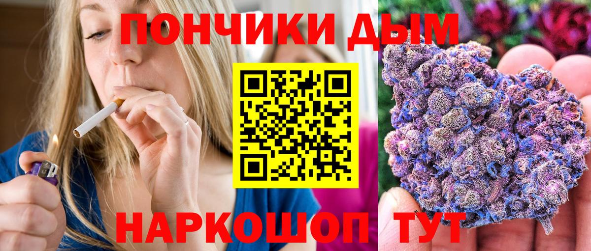 Бошки Шишки ГИДРОПОН Нижнеудинск